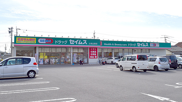 ドラッグセイムス 土佐山田薬局