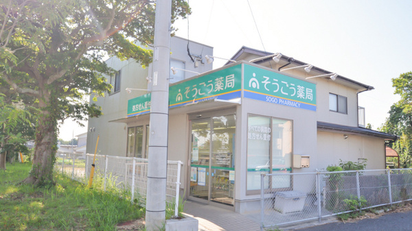 そうごう薬局 国東店