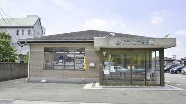 そうごう薬局 広川店