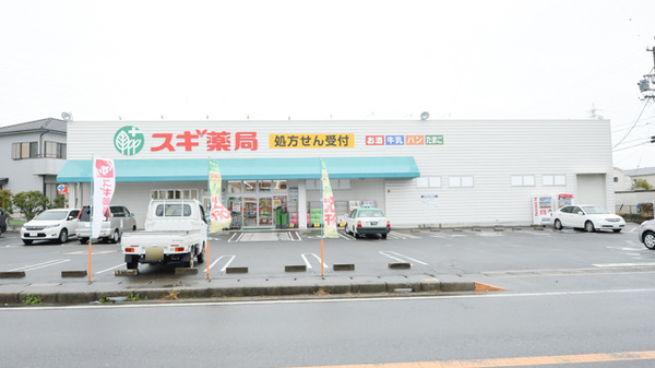 スギ薬局 武豊南店