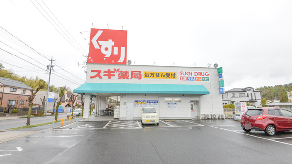 スギ薬局 水野店