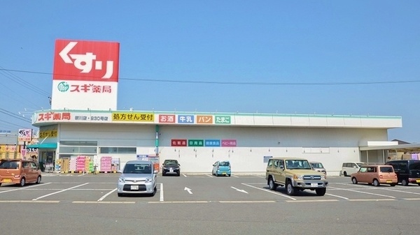 スギ薬局 新川店