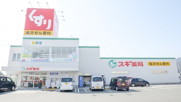 スギ薬局 新城店