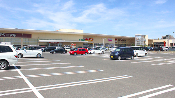 ツルハドラッグ 小鶴新田店