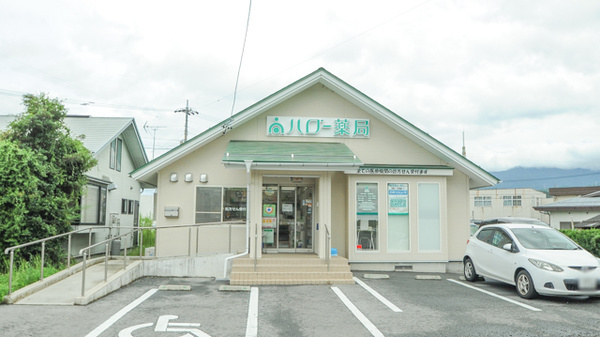 ハロー薬局 飯田松尾店