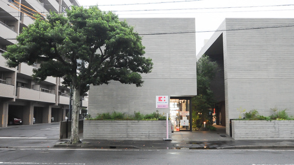 ココカラファイン薬局政所店