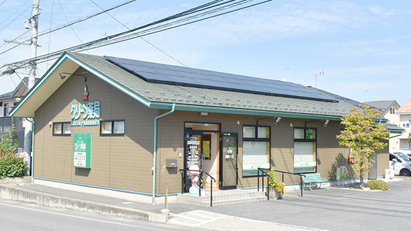 グリーン薬局