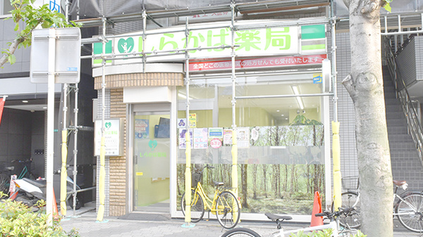 しらかば薬局