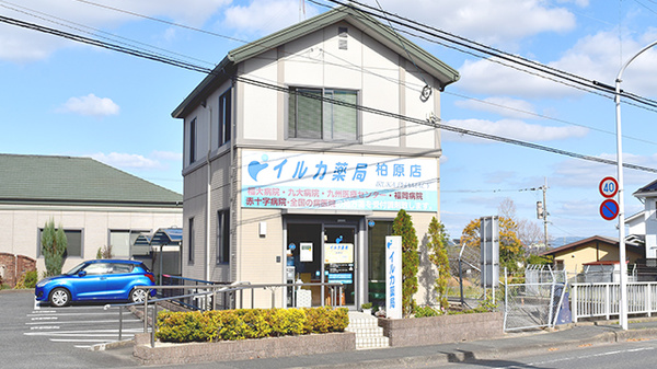 イルカ薬局柏原店