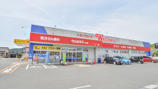 ウェルネス 大東薬局