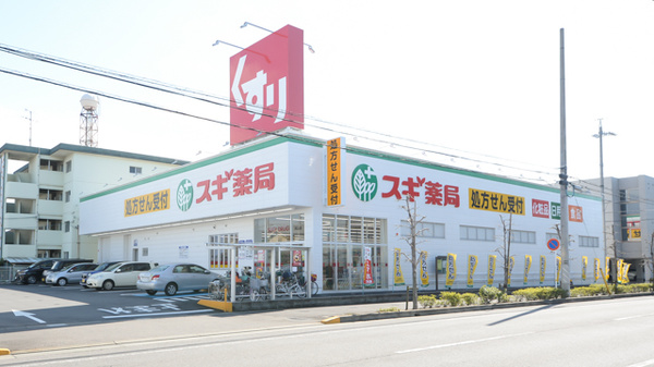 スギ薬局 向山店