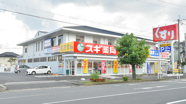 スギ薬局 真美ヶ丘店