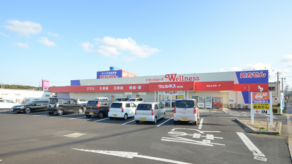 ウェルネス 斐川薬局