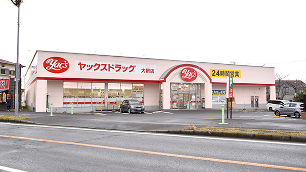 ヤックスドラッグ 大網店