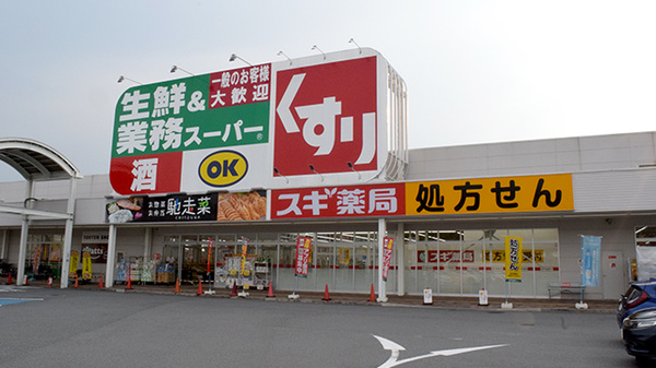 スギ薬局 南生駒店