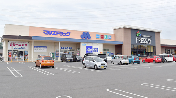マルエ薬局榛東店