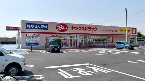 ヤックスドラッグ オークビレッジかみす店