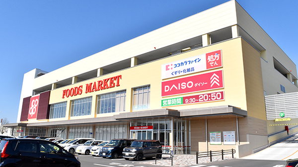 ココカラファイン コープ野々井店