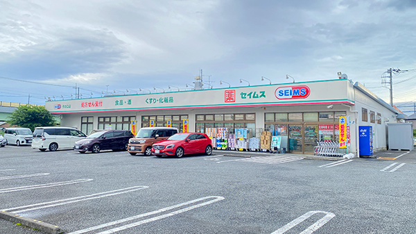 ドラッグセイムス 作の口店