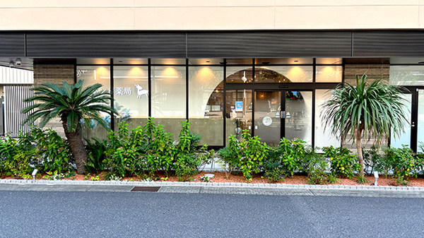 バンビ薬局守谷店