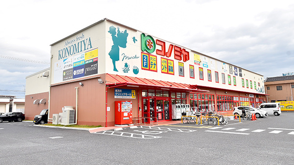 サエラ薬局 城西店