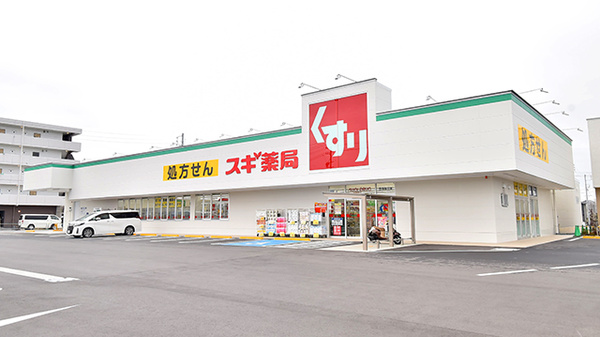 スギ薬局 豊明寺池店