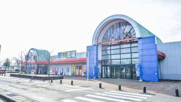 しみず薬局プラファ調剤