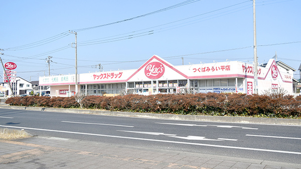 ヤックスドラッグ つくばみらい平店
