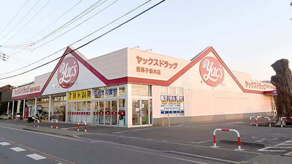 ヤックスドラッグ 我孫子新木店