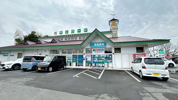 清風薬局サンロード湯前店