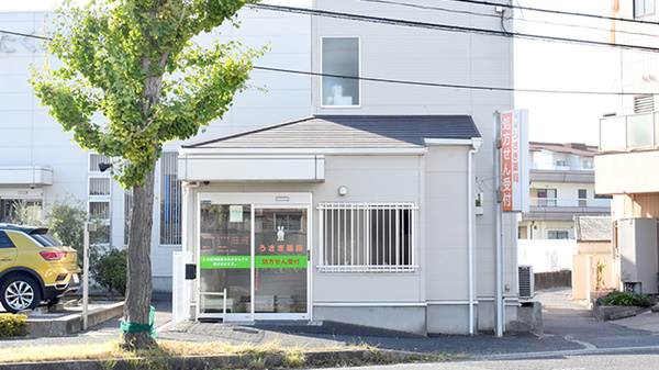 うさぎ薬局