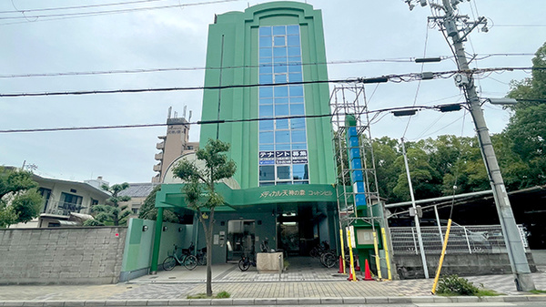 コットン調剤薬局