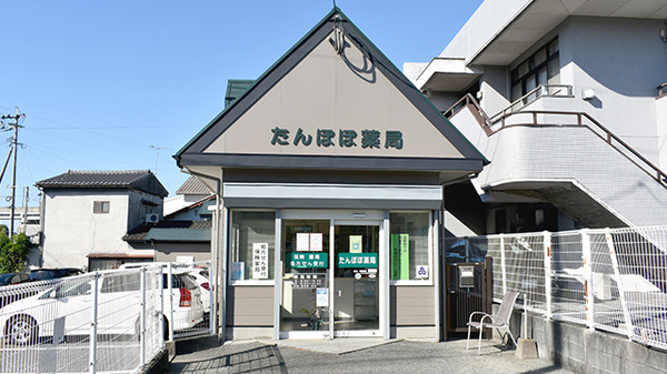 たんぽぽ薬局