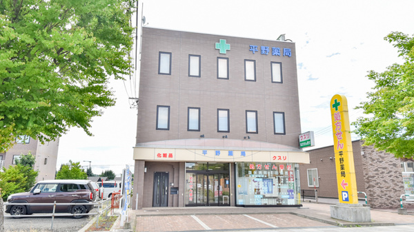有限会社平野薬局