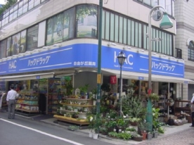 自由が丘駅周辺でおくすり手帳で安くなる薬局1選 処方せん予約で待ち時間ゼロ おくすりロコ