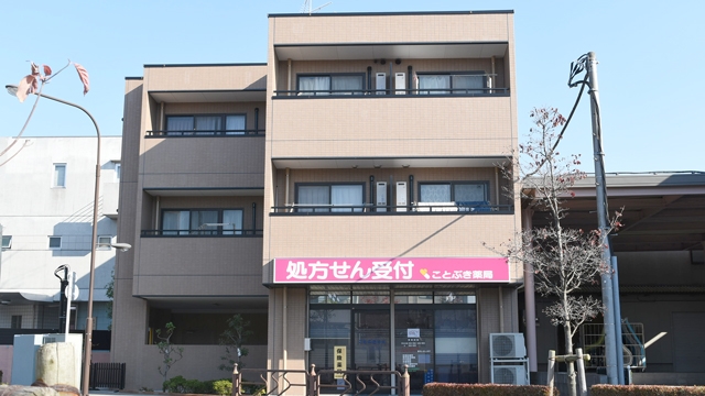 一之江駅周辺で安い薬局 ドラッグストア ネット予約対応でリーズナブルなおすすめ3選 処方箋予約で待ち時間もゼロ おくすりロコ